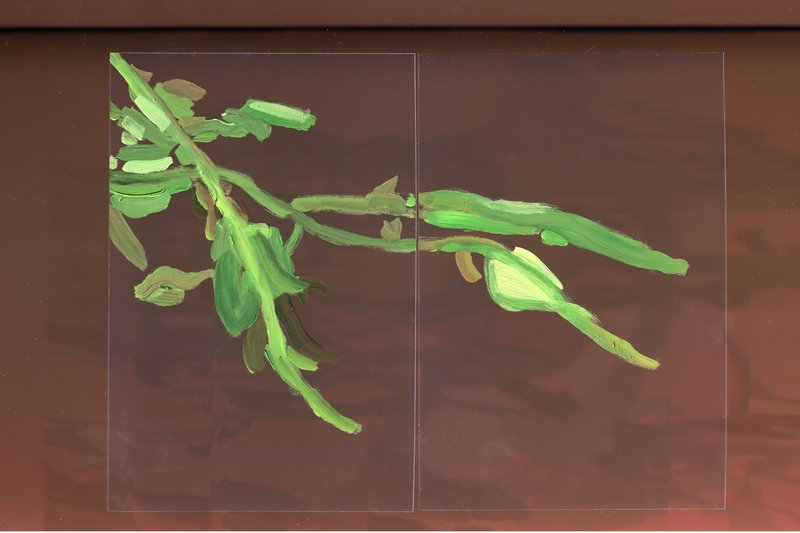 Alex Fischer, Vii 6000 64 65, 2015-02-26